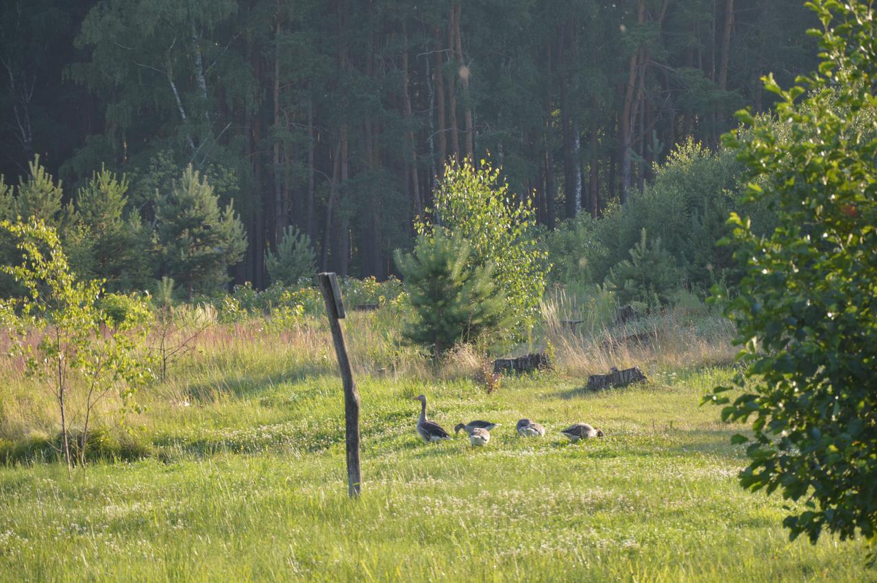 Pulemchanka Pulemets Exteriér fotografie